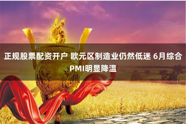 正规股票配资开户 欧元区制造业仍然低迷 6月综合PMI明显降温