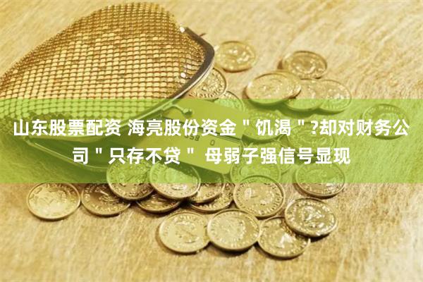 山东股票配资 海亮股份资金＂饥渴＂?却对财务公司＂只存不贷＂ 母弱子强信号显现