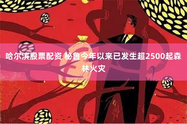 哈尔滨股票配资 秘鲁今年以来已发生超2500起森林火灾