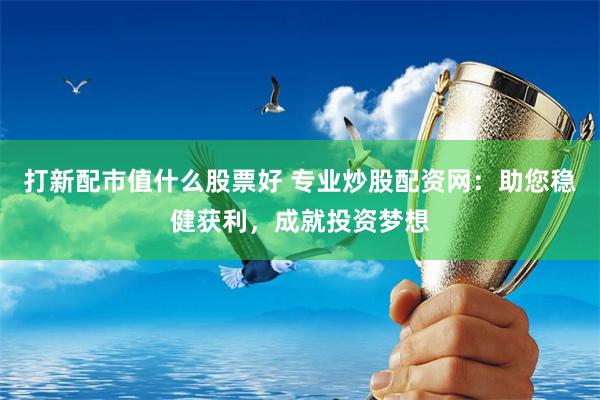 打新配市值什么股票好 专业炒股配资网:助您稳健获利,成就投资梦想